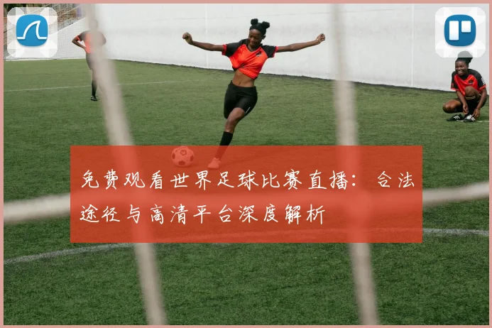 免费观看世界足球比赛直播：合法途径与高清平台深度解析