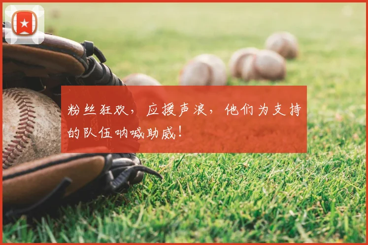 粉丝狂欢，应援声浪，他们为支持的队伍呐喊助威！